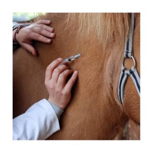 La app que permite hacer electrocardiogramas 2