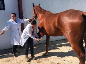 La app que permite hacer electrocardiogramas 3