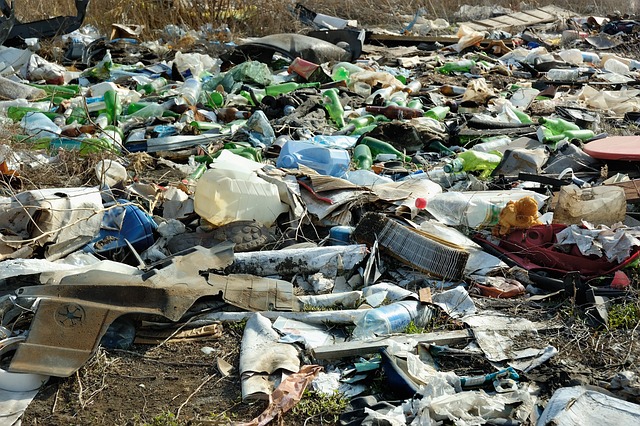 El impacto de la basura en el medio ambiente urbano 1